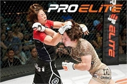 OFFICIAL-WEBSITE-OF-SARA-MCMANN-DESIGNED-BY-APOCALYPSE-MMA-37-300x200